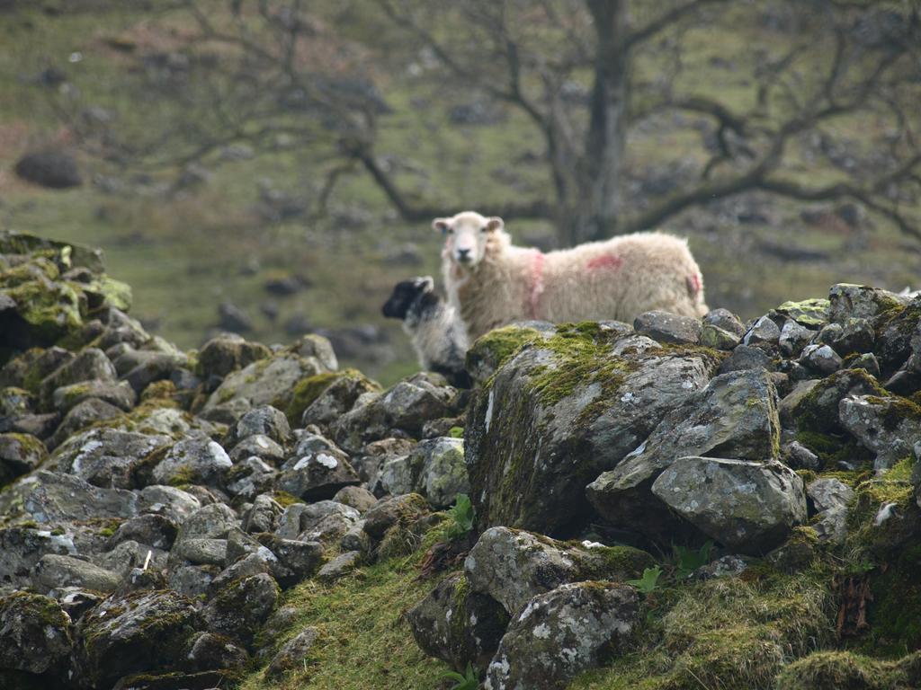 Bed and Breakfast Barn-Gill House Thirlmere Exteriér fotografie