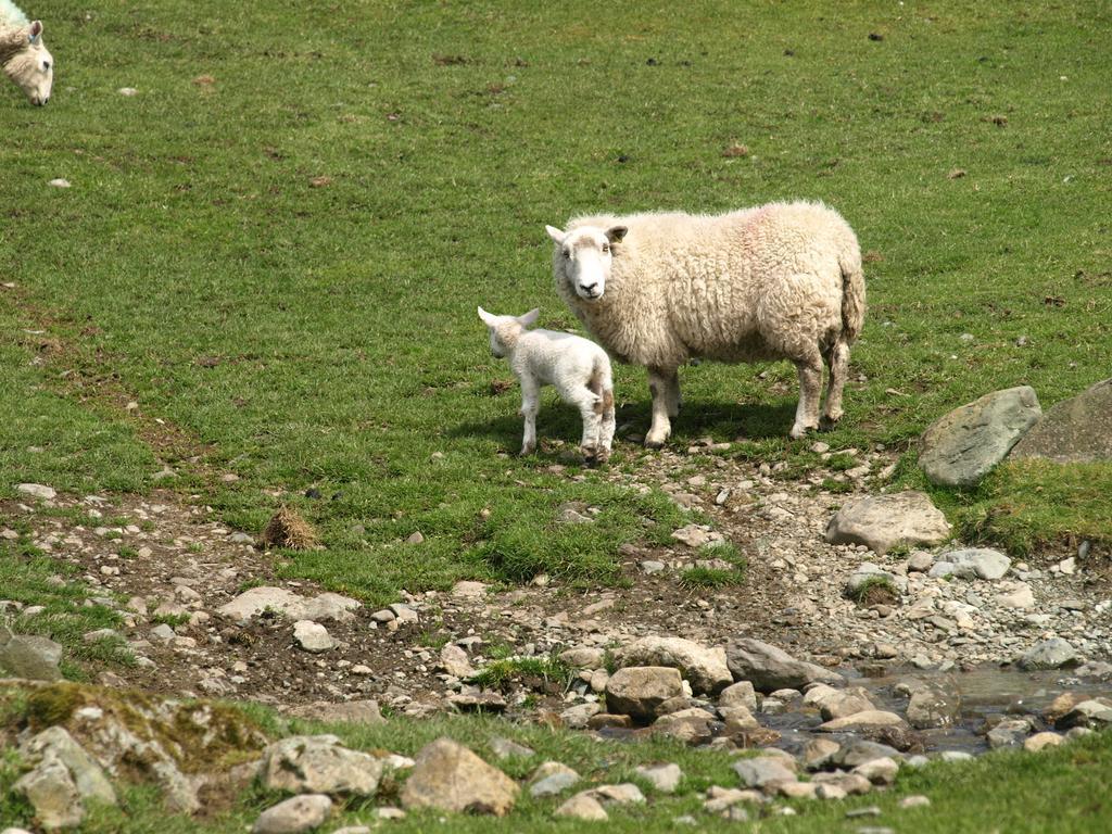 Bed and Breakfast Barn-Gill House Thirlmere Exteriér fotografie